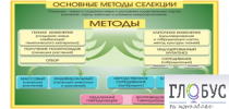 Стенд "Методы селекции и биотехнологии" - «globural.ru» - Александров