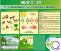 Стенд "Экология. Организация и функционирование сообществ" - «globural.ru» - Александров