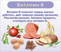 Стенд "Витамин В" - «globural.ru» - Александров