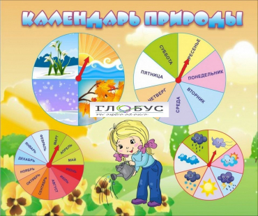 Стенд "Календарь природы" (вариант 1) - «globural.ru» - Александров