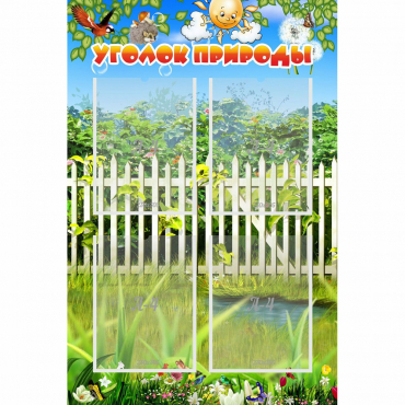 Стенд "Уголок природы" с 4 карманами - «globural.ru» - Александров