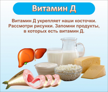 Стенд "Витамин Д" - «globural.ru» - Александров