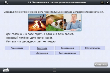 Интерактивные курсы. Русский язык 6 класс. Базовый - «globural.ru» - Александров