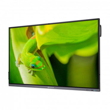 Интерактивный программно-аппаратный комплекс Geckotouch Interactive IP65GT-C в комплекте с настенным креплением - «globural.ru» - Александров