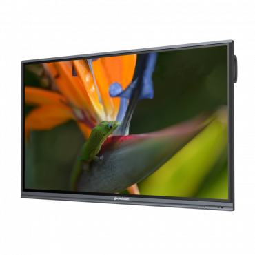 Интерактивный программно-аппаратный комплекс Geckotouch Interactive Pro IP65HT-E  в комплекте с настенным креплением - «globural.ru» - Александров