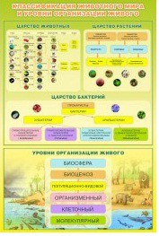 Стенд "Классификация животного мира" - «globural.ru» - Александров
